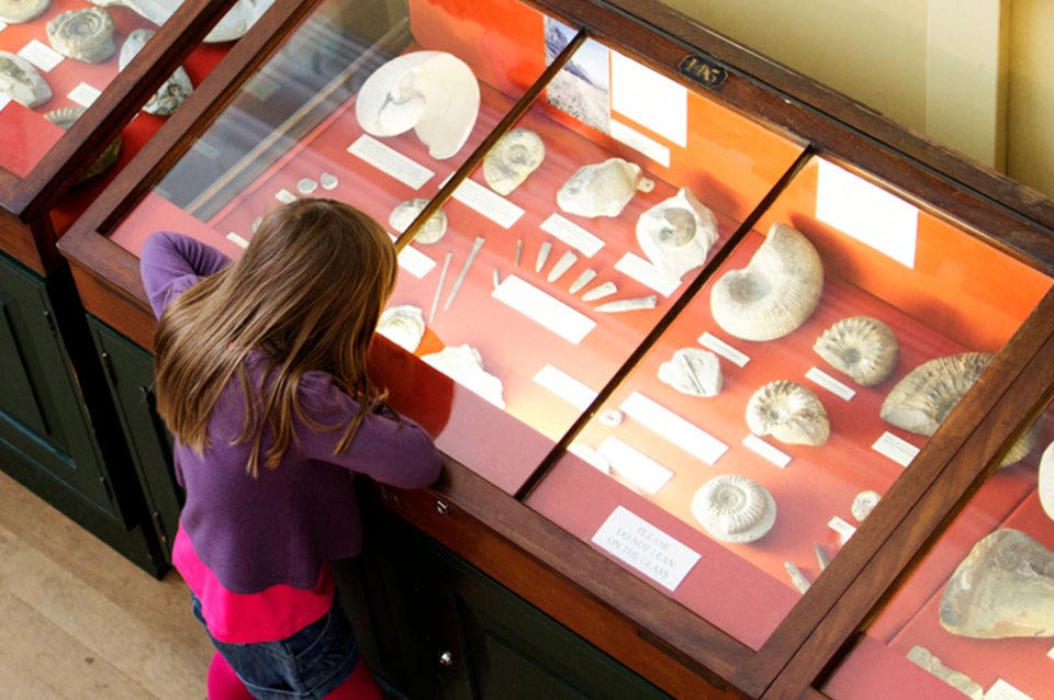 Person looking into display case using Optix-L